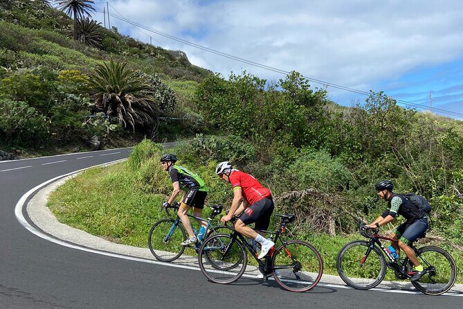 1/2 day guided roadbike tour - Price and what $70.81 really means for your trip