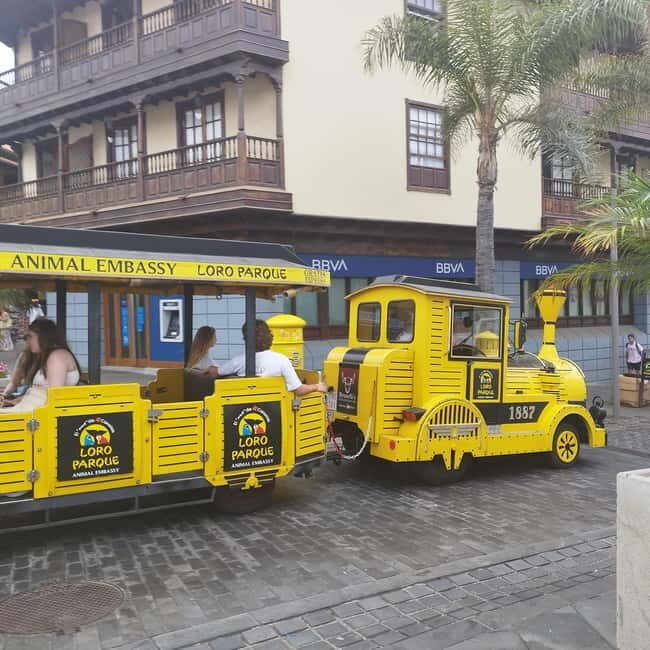 1-2 hour walking route through Puerto de la Cruz, Tenerife - Why Puerto de la Cruz feels made for a short coastal walk