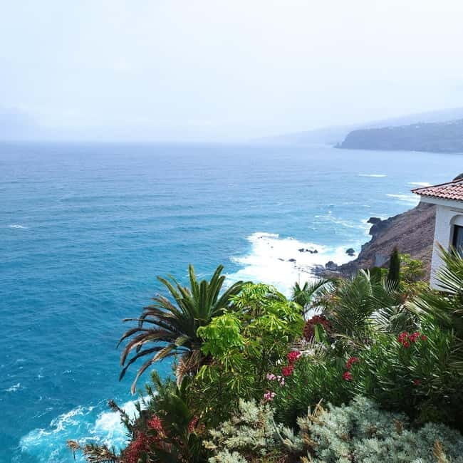 1-2 hour walking route through Puerto de la Cruz, Tenerife - What to bring and how to get the best experience