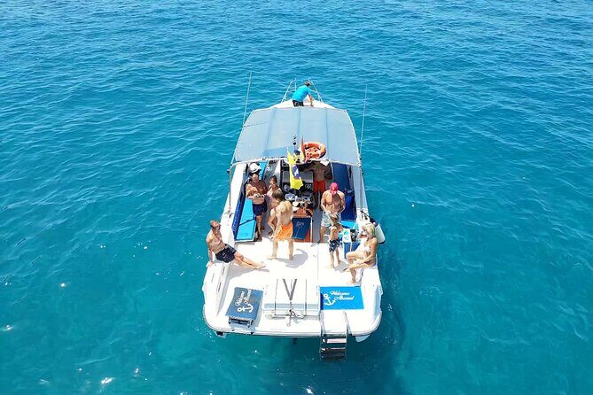 2 hour trip to see whales dolphins puerto colon adeje - Key points before you go