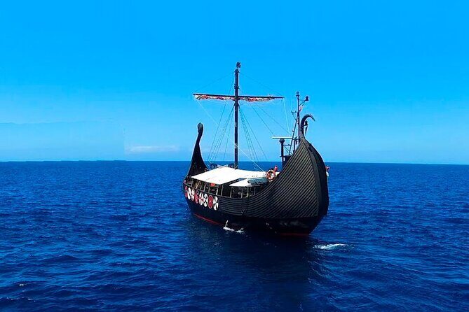 2h Viking Cruise Whales & Dolphins Watching - Bilingual Commentary in English and Spanish