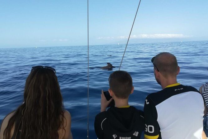 3-Hour Boat Trip from Costa Adeje in Tenerife - Price and Value: Is $65.16 Worth It?
