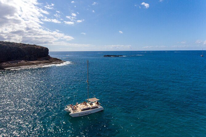 3-hour catamaran excursion along the Costa Adeje - From Puerto Colón to the Cetacean-Sighting Stretch