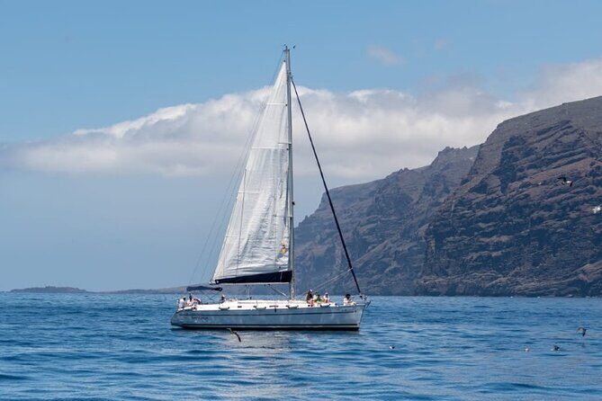 3-Hour Cetacean Watching and Snorkeling Tour in Tenerife - Entering Los Gigantes: why the setting matters for whale watching