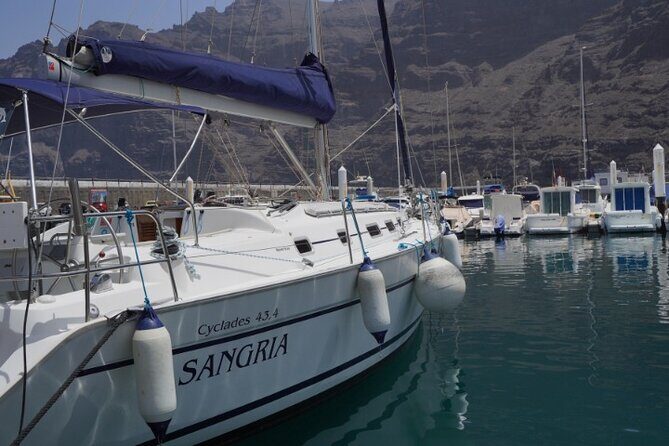 3-Hour Cetacean Watching and Snorkeling Tour in Tenerife - Whale-watching stop: what you’re really paying for