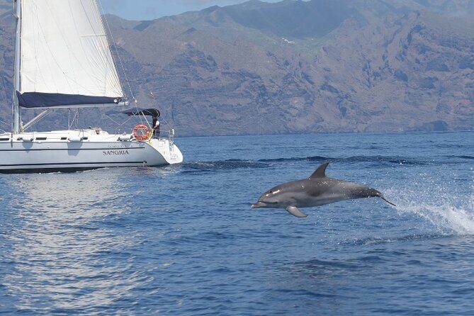 3-Hour Cetacean Watching and Snorkeling Tour in Tenerife - Acantilado de los Gigantes stop: tapas, drinks, and cliff views on the clock