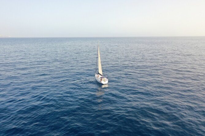 3-Hour Cetacean Watching and Snorkeling Tour in Tenerife - Price and value: what $21 buys you on Tenerife waters