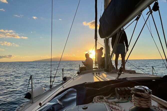 3-Hour Cetacean Watching and Snorkeling Tour in Tenerife - The Sangria sailing plan: how 3 hours stays comfortable