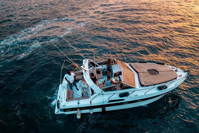 3 Hour Shared Motor Yacht Boat Trip & Snorkeling With Small Group - Whale and dolphin spotting: what to expect and how to maximize your chances