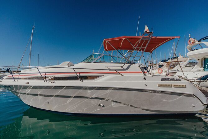 3 Hour VIP Private Luxury Boat Charter in Tenerife - The secluded natural bay stop: swimming, snorkelling, and a real lunch break