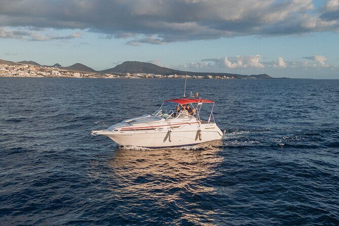 3 Hour VIP Private Luxury Boat Charter in Tenerife - Duration, group size, and timing: how to plan your day in Tenerife