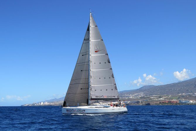 3 Hours All Inclusive Whale and Dolphin Whatching Yacht Trip - A modern sailing yacht beats a crowded boat day in Tenerife