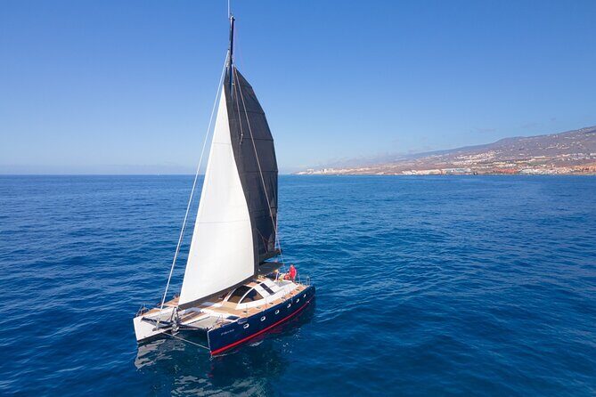 3 hrs. Whale Watching and Relaxing Chill Out Catamaran with glass floor - Key things to know before you go