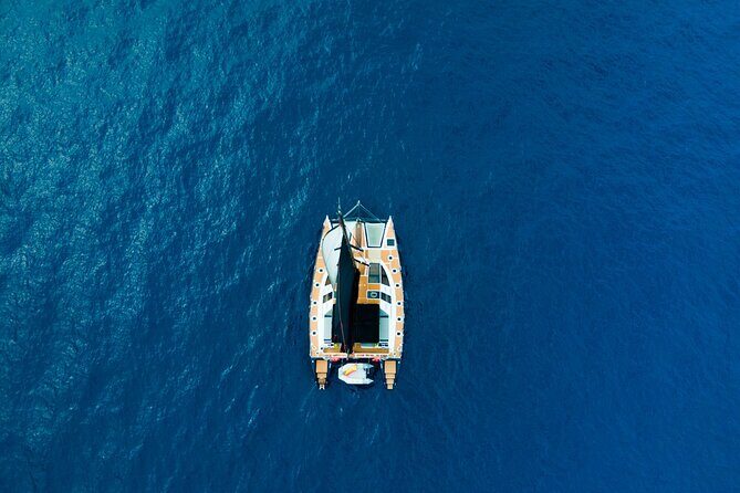 3 hrs. Whale Watching and Relaxing Chill Out Catamaran with glass floor - Whale and dolphin spotting starts fast, with live commentary
