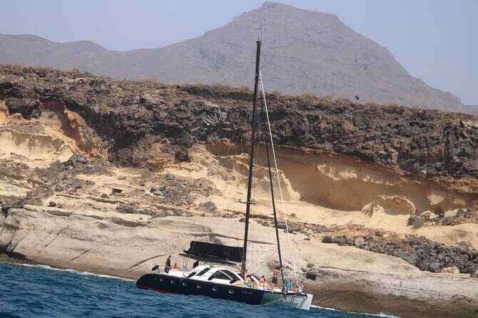 3 hrs. Whale Watching and Relaxing Chill Out Catamaran with glass floor - Photo and video opportunities: when you’ll actually get the shots