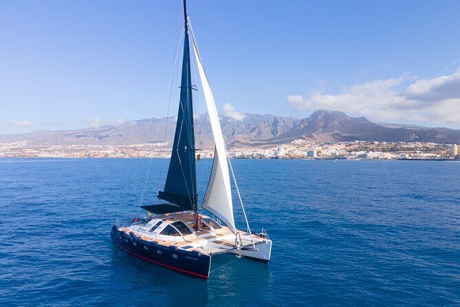 3 hrs. Whale Watching and Relaxing Chill Out Catamaran with glass floor - The group size makes the whole experience feel calmer