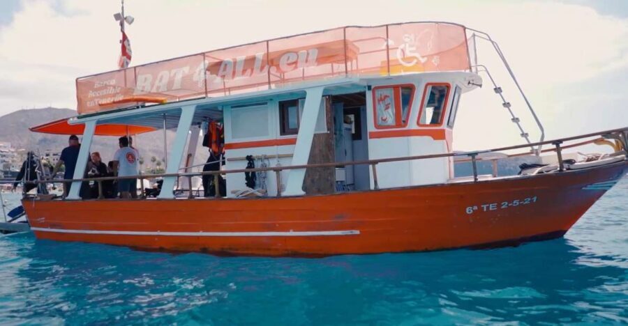 3H Shared Barrier-Free Cruise with Turtles Dolphins & Whales - Snorkeling and the sea-cave stop: what you’ll see