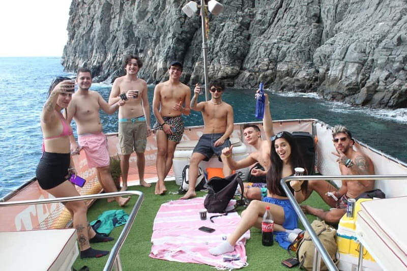 3H Shared Barrier-Free Cruise with Turtles Dolphins & Whales - The Guaza Fish Farm stop: wildlife spotting with context