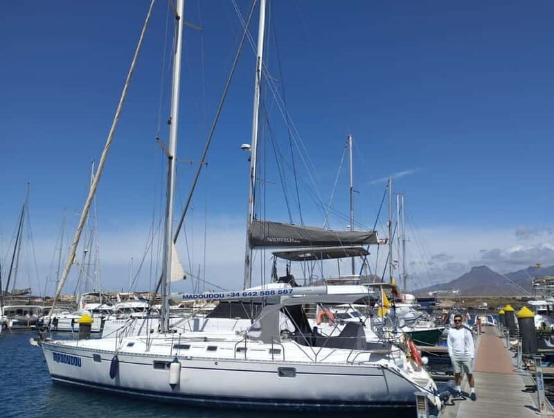 3h Whale Watching Private tour Beneteau Oceanis 440 - Key points before you go