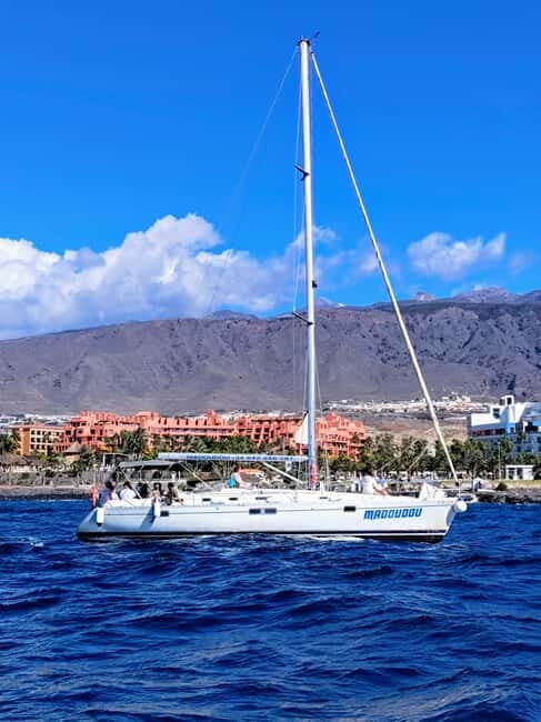 3h Whale Watching Private tour Beneteau Oceanis 440 - The Beneteau Oceanis setup: comfort that matters on open water