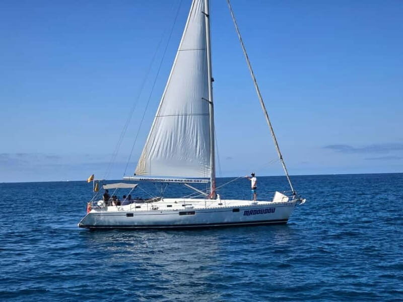 3h Whale Watching Share Tour Beneteau Oceanis 440 - Key Highlights You’ll Care About on Madoudou