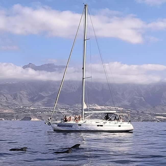3h Whale Watching Share Tour Beneteau Oceanis 440 - Puerto Colón and the Easy Start in Costa Adeje