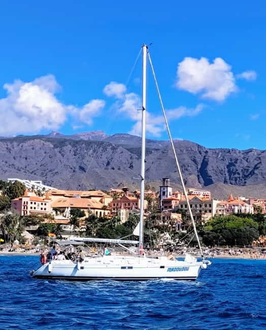 3h Whale Watching Share Tour Beneteau Oceanis 440 - The Animals: What You’re Looking For (and When)