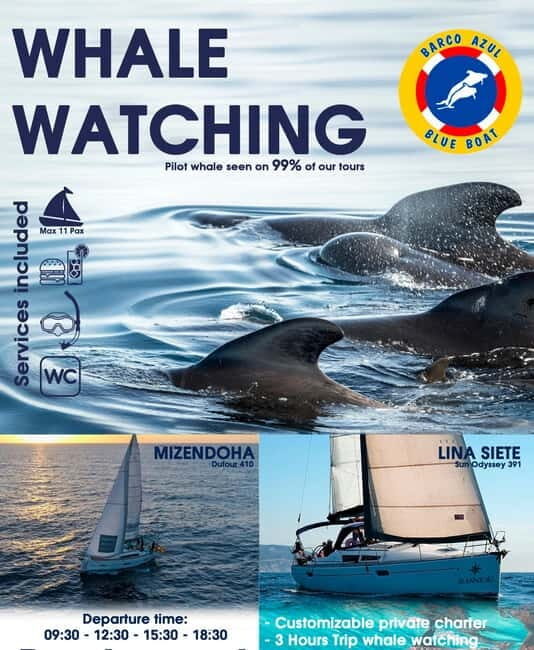 3h Whale watching Share Tour Costa Adeje Lina7 Mizendoha - Leaving Costa Adeje: the first hour of sailing and settling in