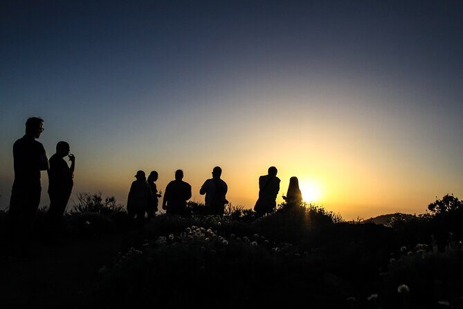 6-Hour Tour with Observation of the Stars 1242 with Lunch - Timing and the feel of the 5:00 PM to late evening schedule