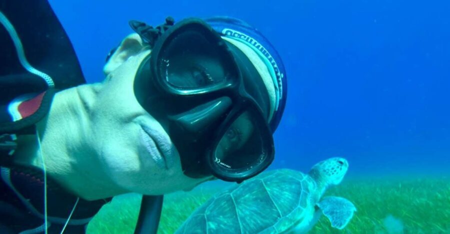 Abades: Guided Snorkeling Tour with Photos - Playa Abades in Tenerife: why this snorkel area works