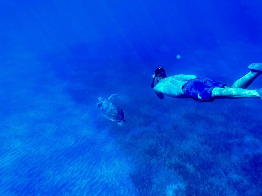 Abades: Guided Snorkeling Tour with Photos - Gear up: wetsuits, masks, and how the guide sets you up