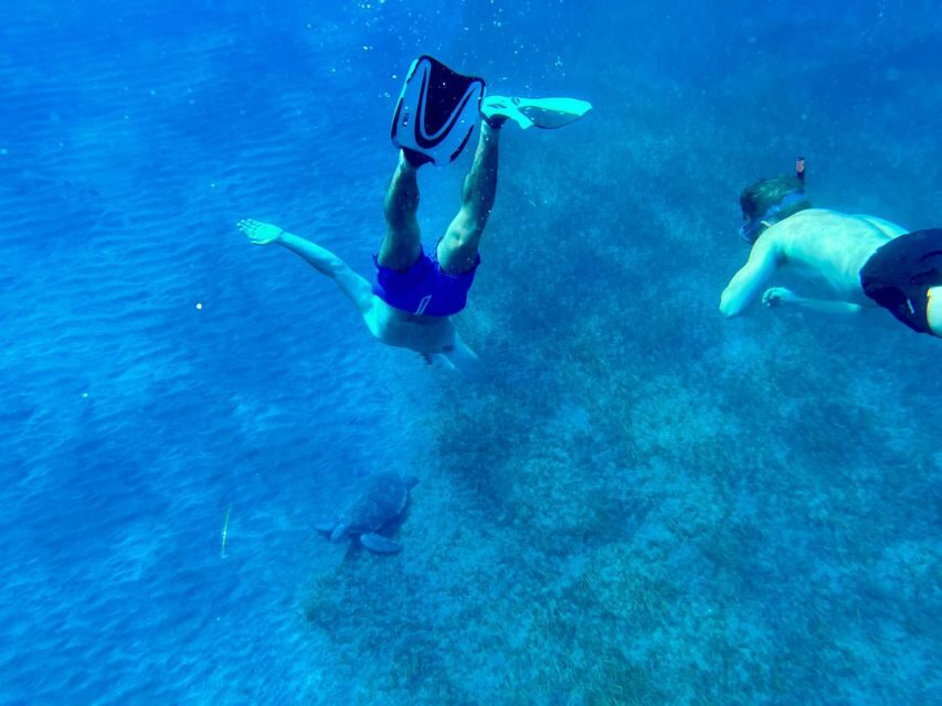 Abades: Guided Snorkeling Tour with Photos - Who this tour fits best (and who should skip it)