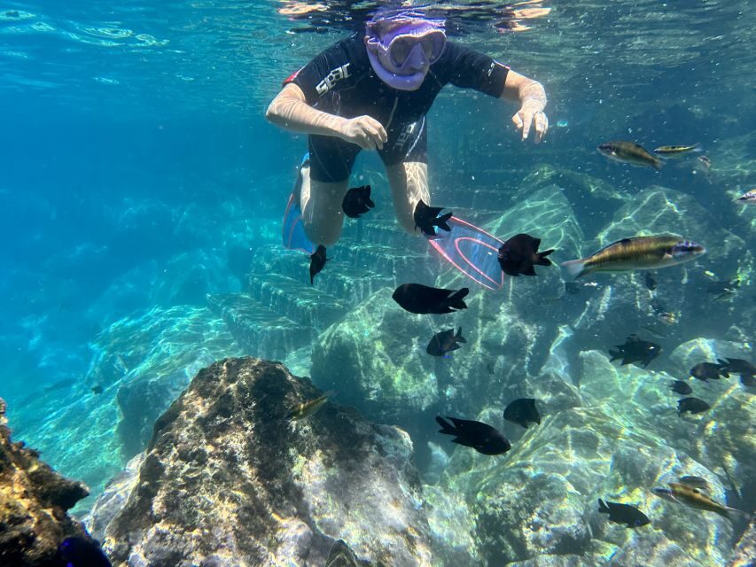 Abades: Guided Snorkeling Tour with Photos - Practical tips that can make or break your experience