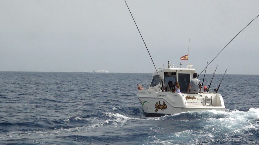 Adeje: 3.5–Hour Professional Fishing Experience - From Puerto Colón to Open Water in 3.5 Hours