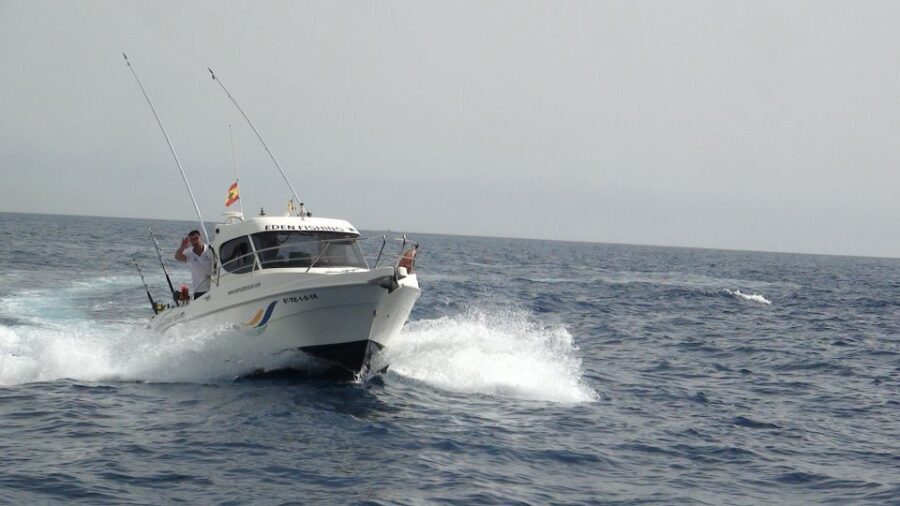 Adeje: 3.5–Hour Professional Fishing Experience - What You Might Catch in Tenerife Waters (Season Dependent)