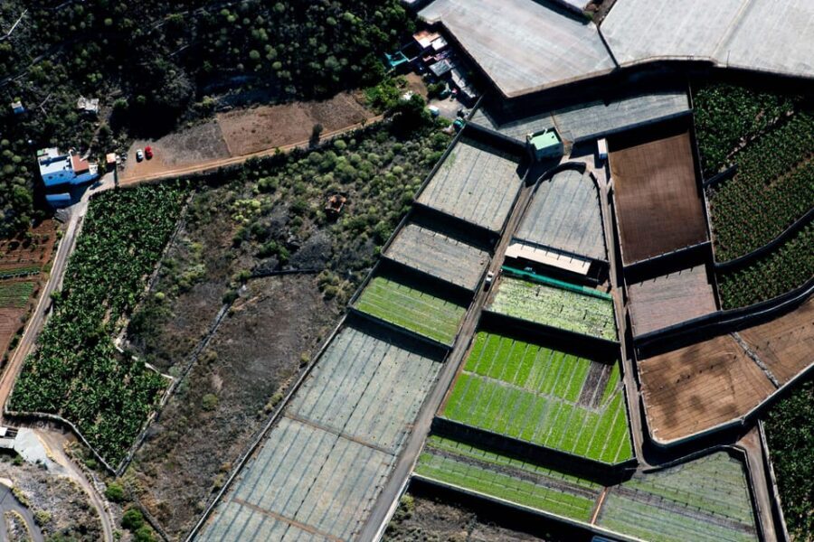 Adeje: Scenic Tenerife Helicopter Flight - Price and Value: Is $130 Worth It?