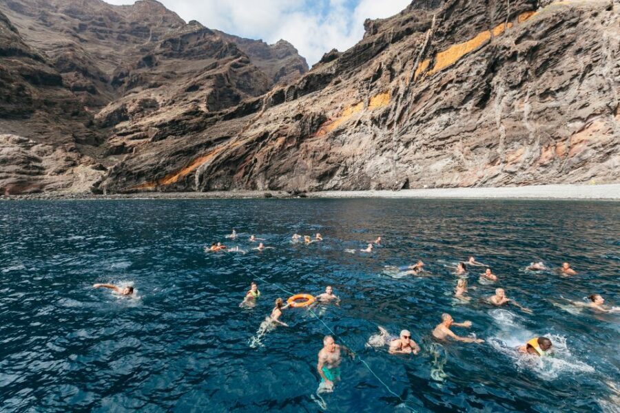 Adeje: Whale and Dolphin Watching Cruise with Lunch and Swim - Booking tips that make the day smoother