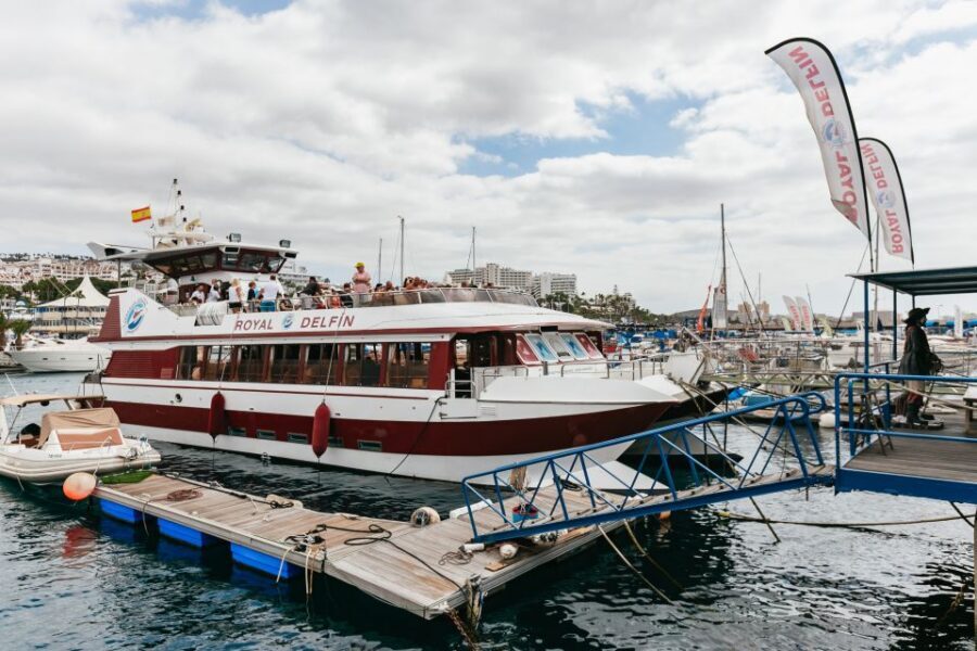 Adeje: Whale and Dolphin Watching Cruise with Lunch and Swim - Lunch and drinks onboard: what you’re actually getting for $59