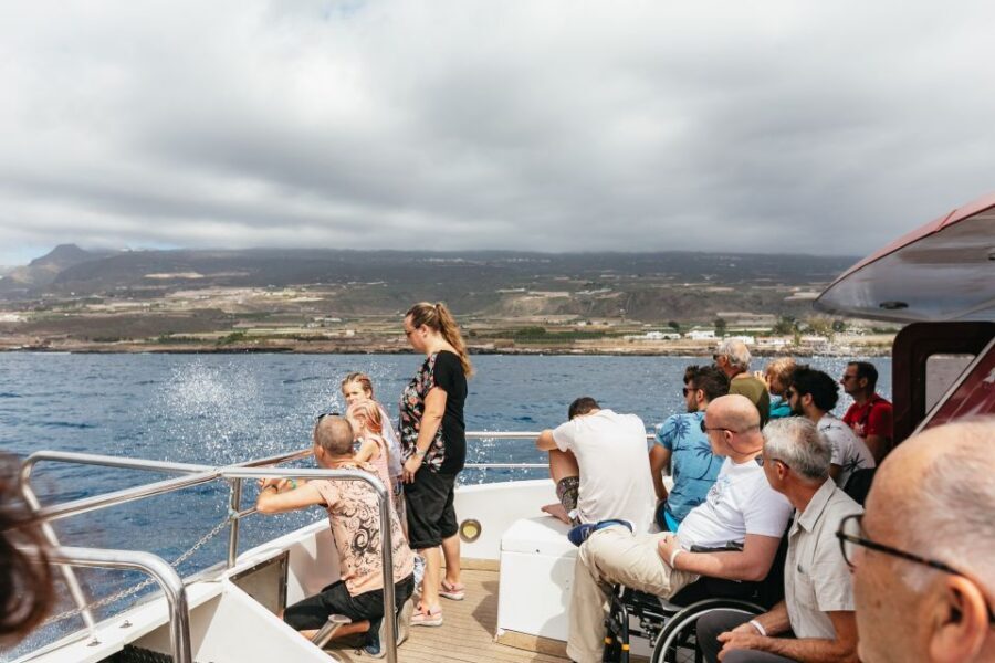 Adeje: Whale and Dolphin Watching Cruise with Lunch and Swim - Swim stop logistics: 40 minutes of sea time, plus what to bring