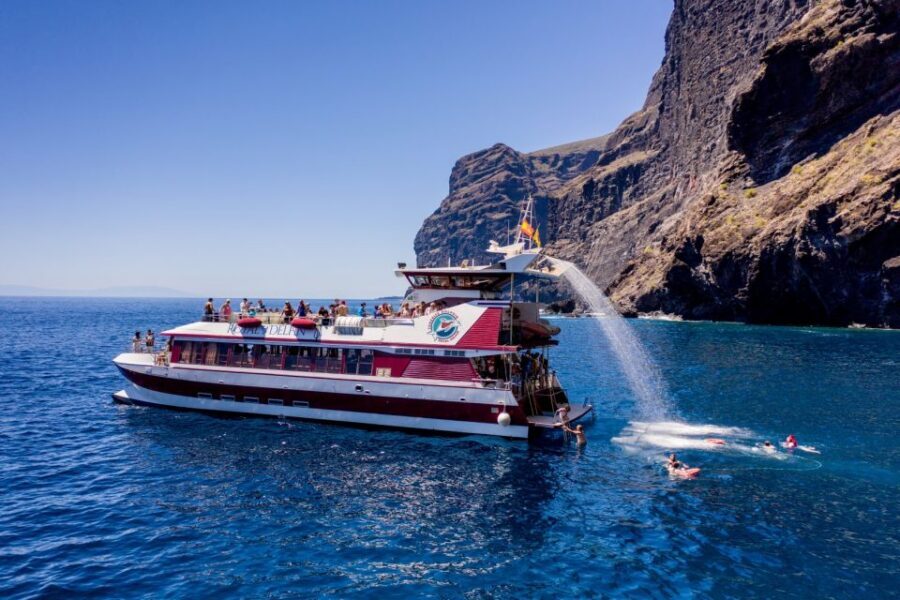 Adeje: Whale and Dolphin Watching Cruise with Lunch and Swim - How good are the wildlife sightings, really?