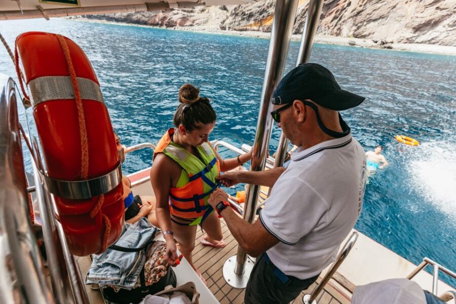 Adeje: Whale and Dolphin Watching Cruise with Lunch and Swim - What I’d watch out for: motion, crowding, and food expectations
