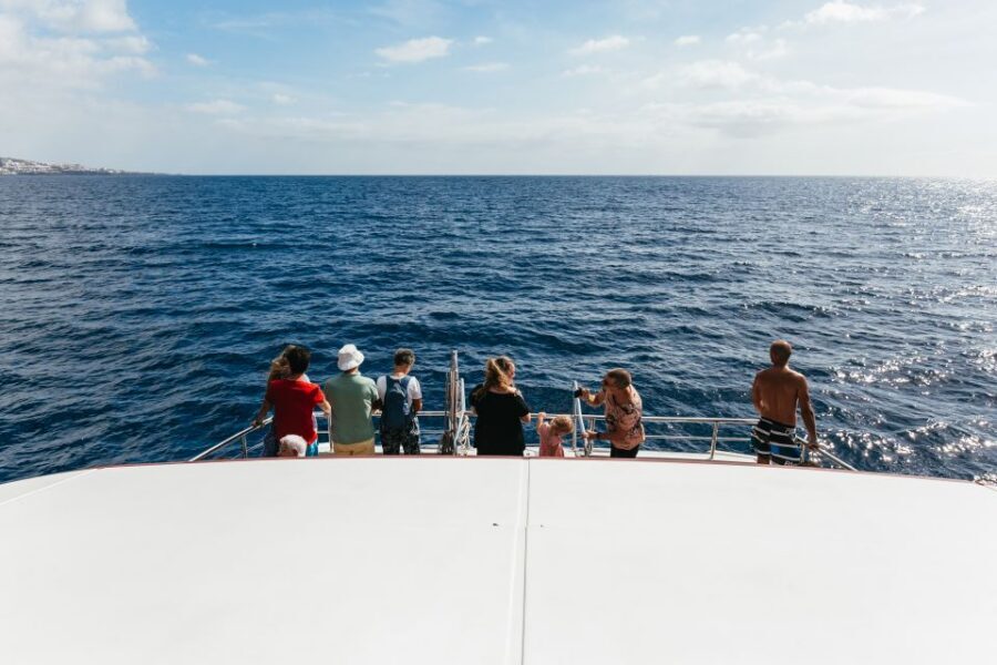Adeje: Whale and Dolphin Watching Cruise with Lunch and Swim - Who this cruise is best for in Tenerife