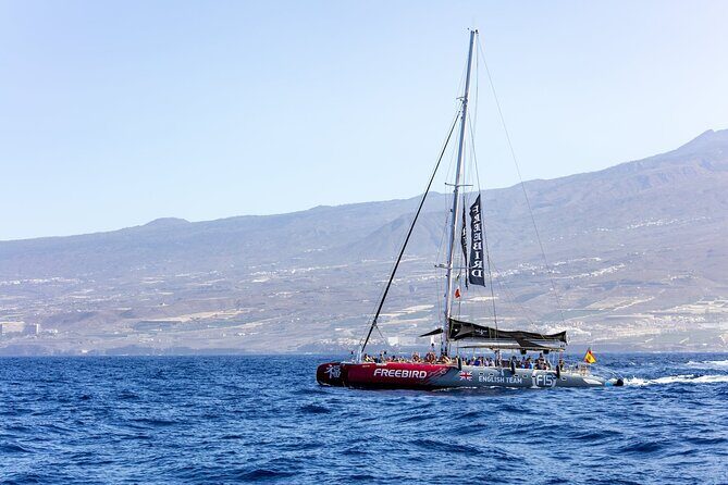 Adults Only Tenerife Freebird Whale Dolphin Catamaran with Lunch - Adults-Only Tenerife Catamaran: The Vibe You’re Paying For