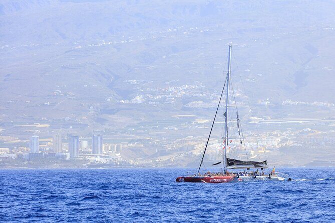 Adults Only Tenerife Freebird Whale Dolphin Catamaran with Lunch - Lunch and Drinks: A Real Part of the Trip, Not Just a Box to Eat