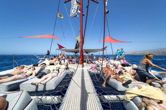 Adults Only Tenerife Freebird Whale Dolphin Catamaran with Lunch - Getting There: Pickup, Start Time, and the Stuff That Can Go Sideways