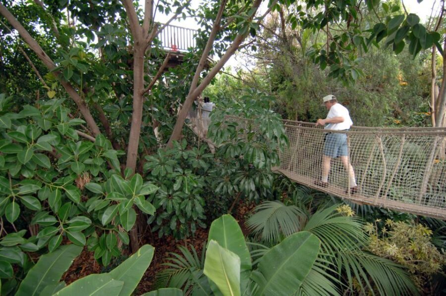 Arona: Entry Ticket to Tenerife's Jungle Park Zoo - Jungle Park Entry: What You’re Actually Paying For