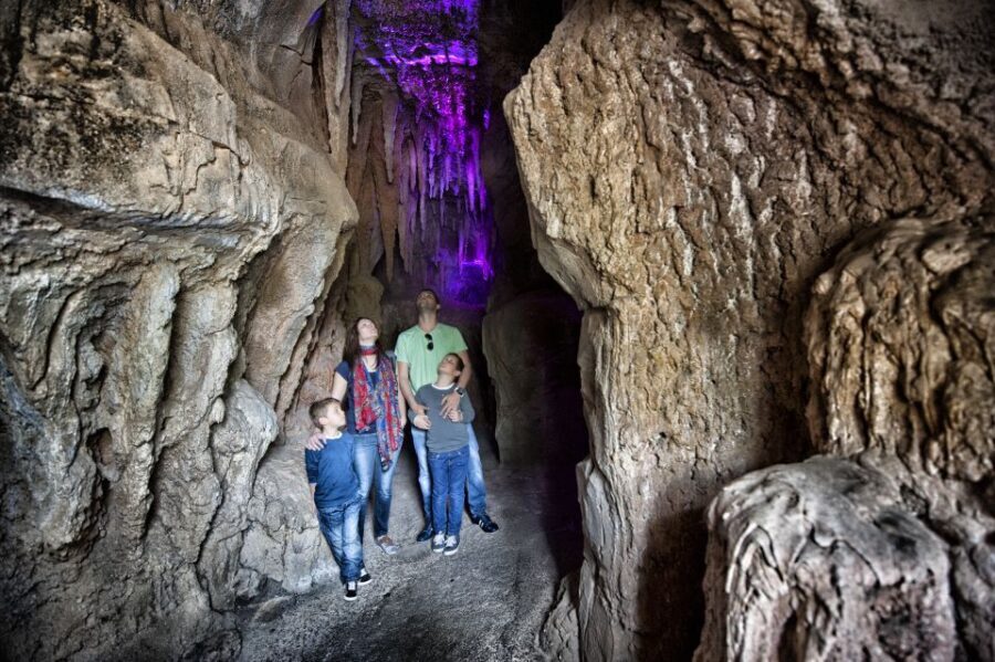 Arona: Entry Ticket to Tenerife's Jungle Park Zoo - Timing for a One-Day Visit: Last Entry at 4 PM