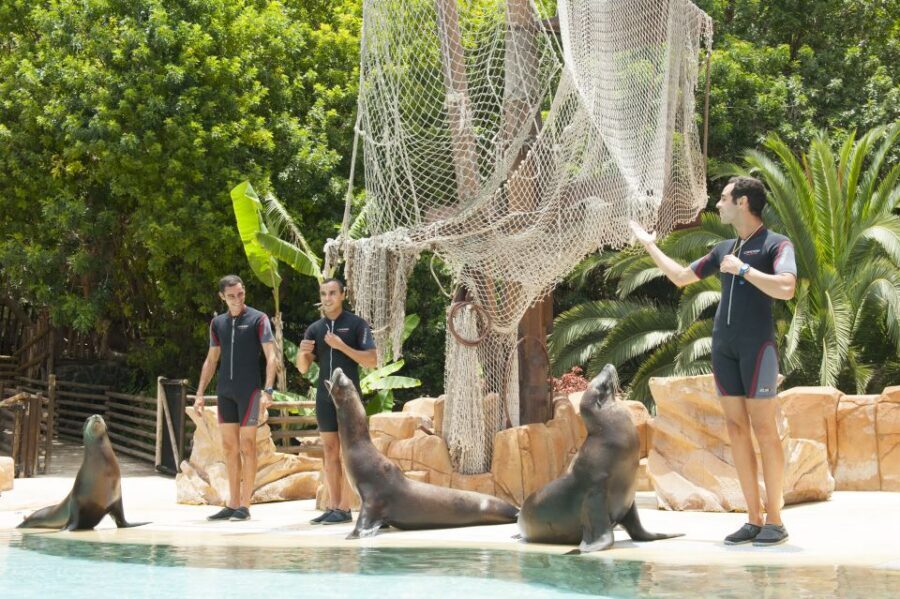 Arona: Entry Ticket to Tenerife's Jungle Park Zoo - Entering Through the Main Desk and Getting Your Day Started Right
