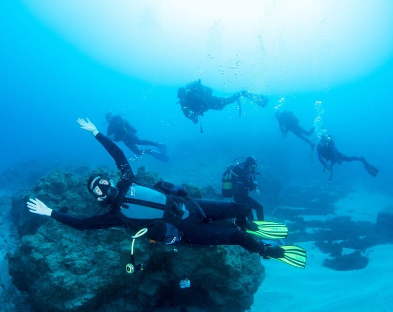 Beginner Scuba Dive with Scubapoint Tenerife in Turtle Area - Key highlights that matter before you go