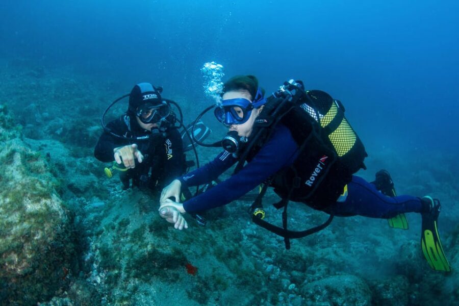 Beginner Scuba Dive with Scubapoint Tenerife in Turtle Area - First-time intro in Tenerife: what happens in your 2-hour session